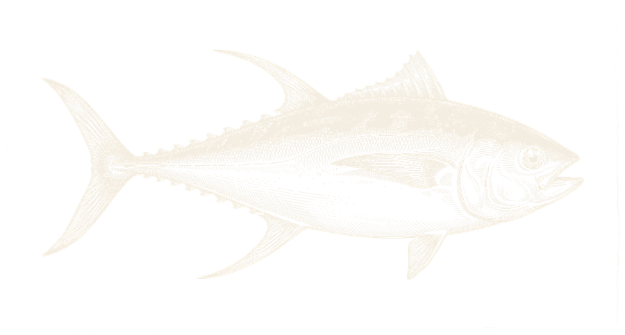 Gravure-illustratie van een geelvintonijn