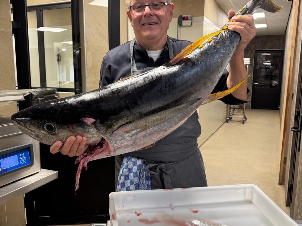 Chef in de keuken met een verse geelvintonijn gevangen voor Bonaire