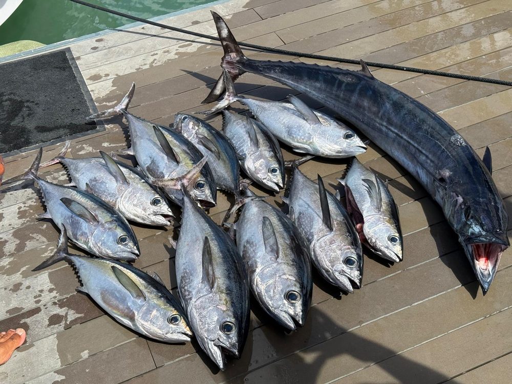Een jonge visser met een dagvangst geelvintonijn op de steiger, Bonaire