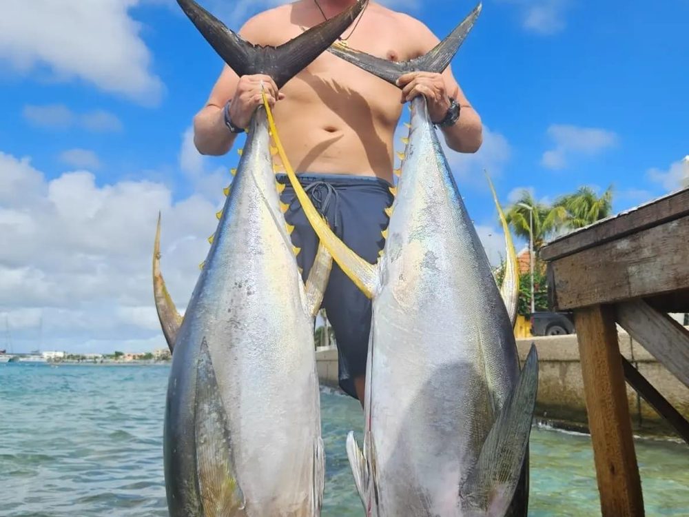 Angler with two large yellowfin tuna at the Bonaire waterfront