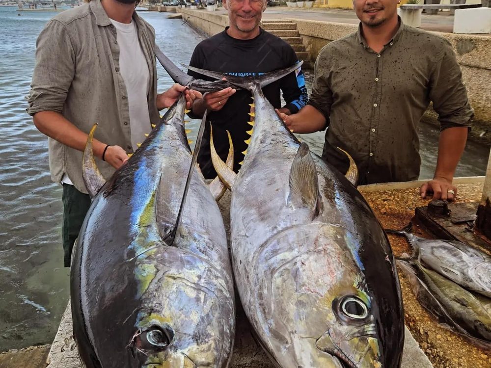 Crew met twee grote geelvintonijnen op de steiger, Bonaire