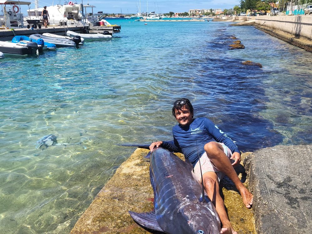Een grote blauwe marlin aan de marina van Bonaire